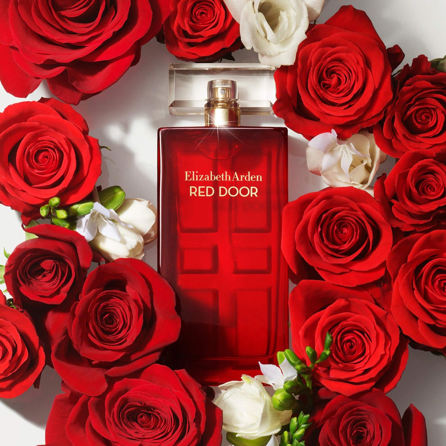 Elizabeth Arden Red Door Eau de Toilette Spray, 100 ml